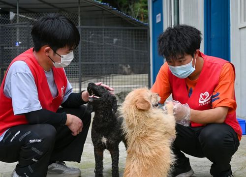 微信图片_20230528103448